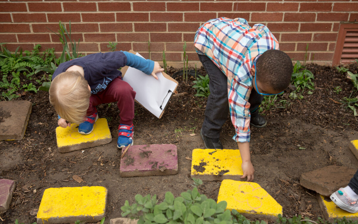 Preschool students look for insects under stones in a school garden.